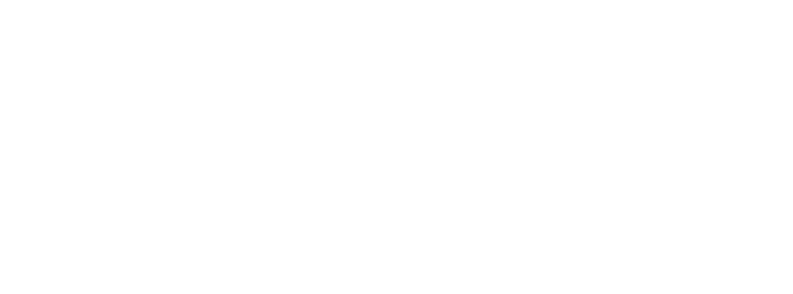 Delucchi Servicios